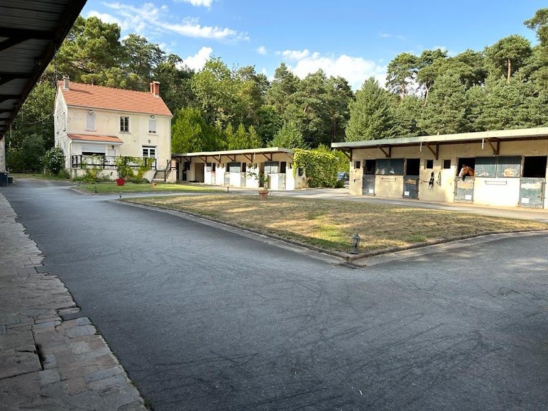 Les Ecuries des Trois Pignons - Caval Horse - photo 1