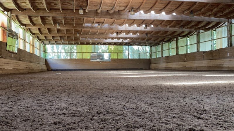 Les Ecuries des Trois Pignons - Caval Horse - photo 2