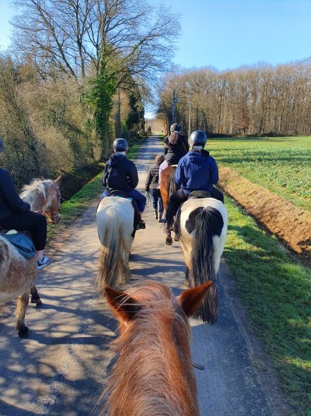 Centre Équestre l'Attrape Rêve - photo 2