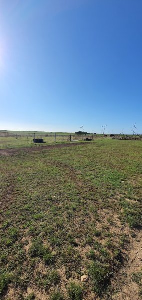 Écurie de Llanura - photo 1