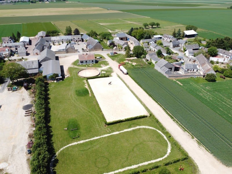 Écurie de Llanura - photo 2