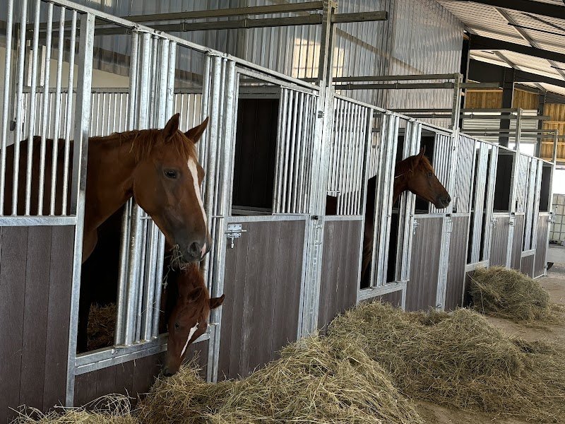 Écurie Élevage des Arbus - photo 1