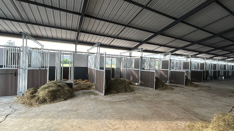 Écurie Élevage des Arbus - photo 2