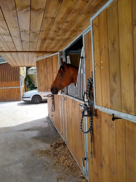Centre équestre de Montigny - photo 3