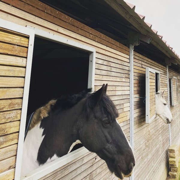 Haras de l’Oison - photo 2