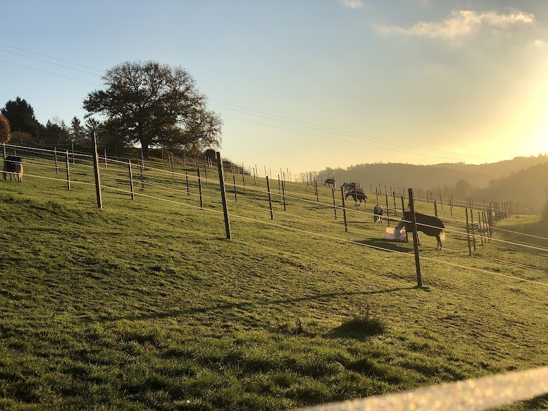 Haras de l’Oison - photo 3