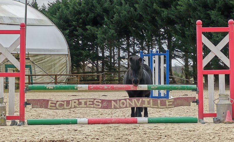 Écuries de Nonville - photo 3