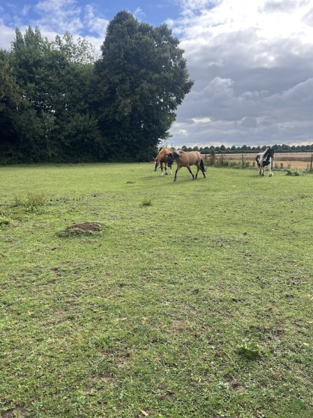 L’Ecurie du Moulinet - photo 1