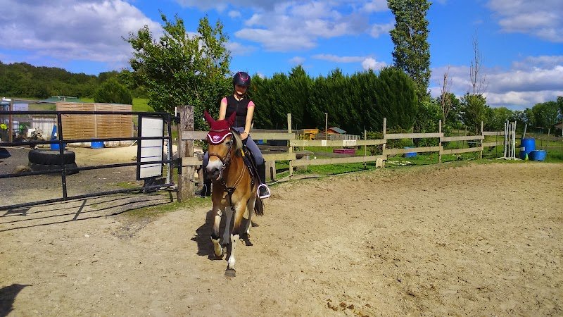 Ecurie Chauville Equestre - photo 2
