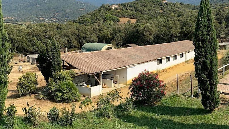 Les Écuries des Vignes - photo 1