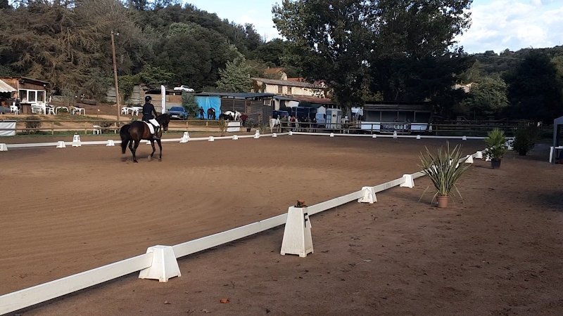 Ecurie de Capitoro Centre Equestre