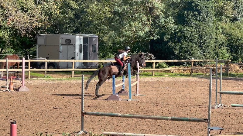 Ecurie de Capitoro Centre Equestre - photo 2