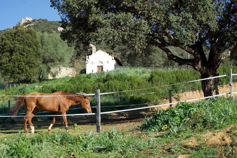 Domaine de l'Arcusa - Les Écuries - photo 2