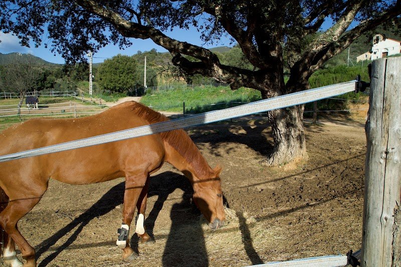 Domaine de l'Arcusa - Les Écuries - photo 3