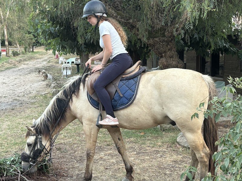 Centre équestre de Porticcio - Centru equestru di Purtichju - photo 2