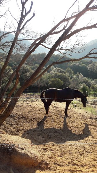 Ecuries de Molini - photo 1