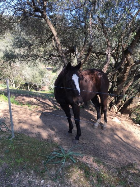 Ecuries de Molini - photo 2