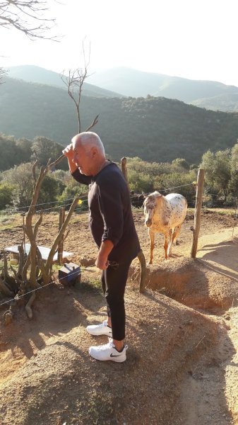 Ecuries de Molini - photo 3