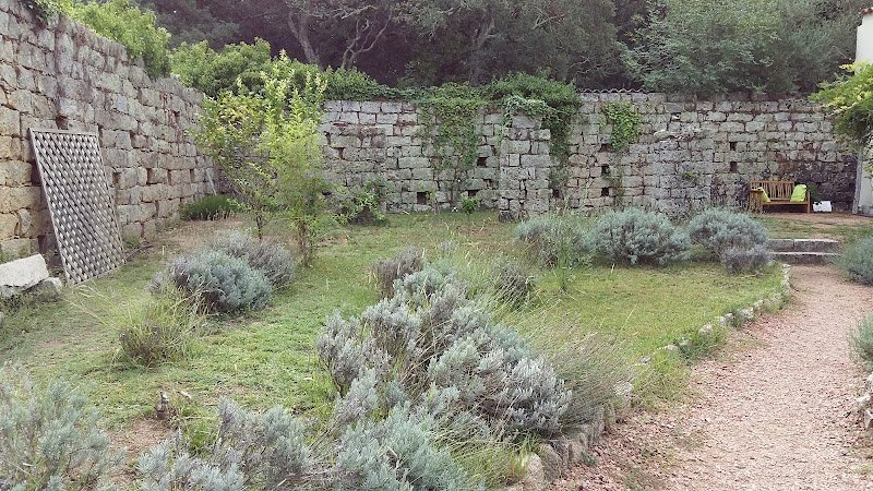 ECURIES DE PALAVESA - photo 3