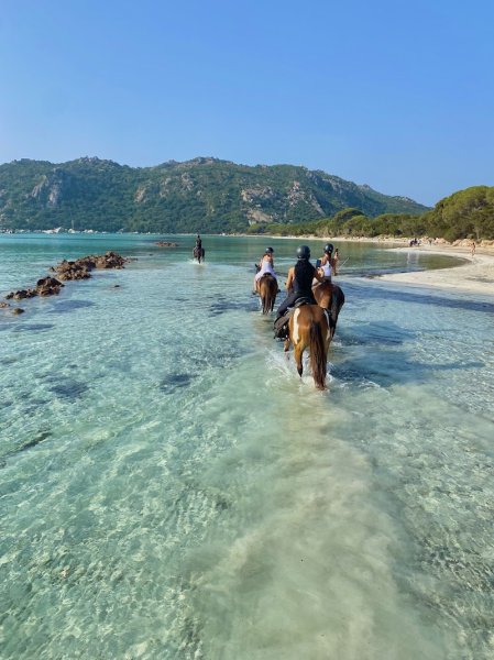 Domaine équestre Equicomplice / poney club A Staffa - photo 2