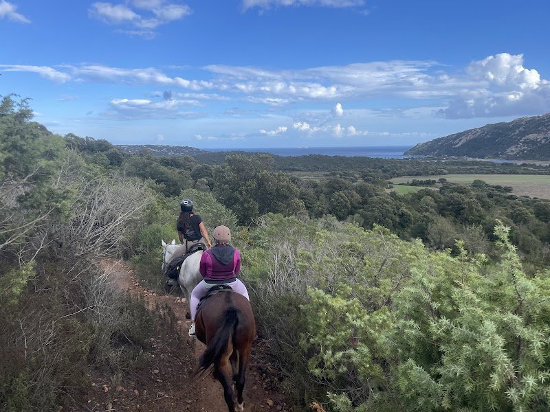 Domaine équestre Equicomplice / poney club A Staffa - photo 3