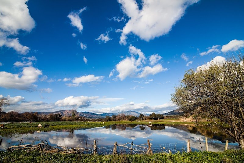 Centre Équestre de Bastelicaccia - Centru Equestru di Bastilicaccia - photo 3