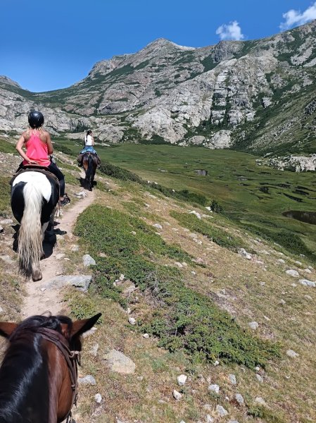 Ferme équestre le Ranch Bastelica