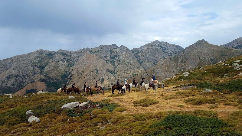 Ferme équestre le Ranch Bastelica - photo 2