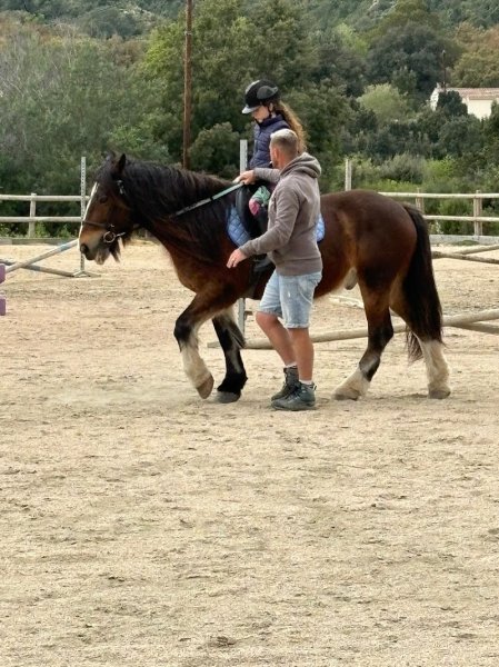 ECURIES DE CARBUCCIA - photo 2