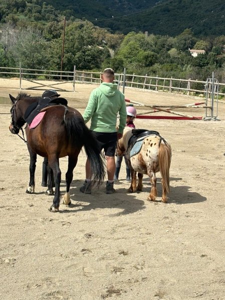 ECURIES DE CARBUCCIA - photo 3