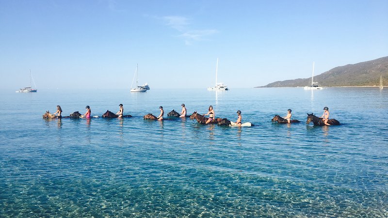 Fior di Lezza Ferme Equestre Balades et baignades à cheval en Corse - Cupabia et Sartène - photo 3