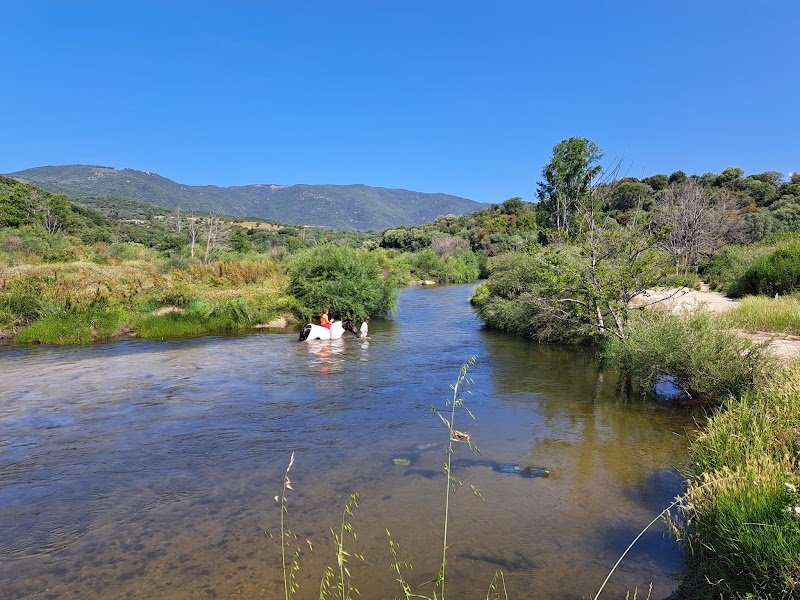 Les poneys de Filitosa Filithorse
