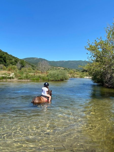 Les poneys de Filitosa Filithorse - photo 2
