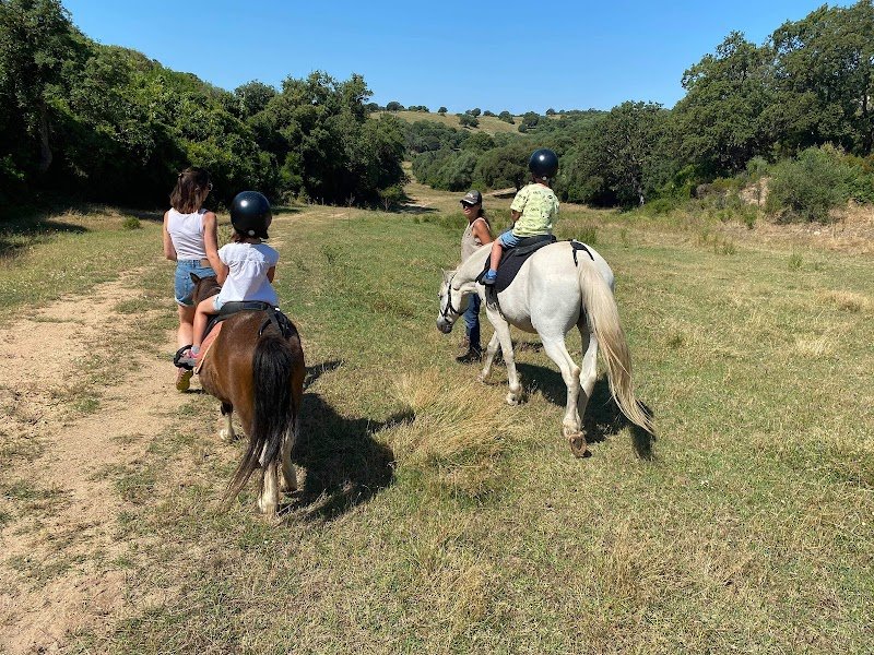 Les poneys de Filitosa Filithorse - photo 3