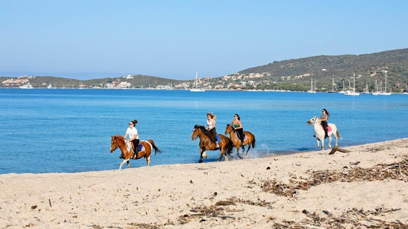 Écuries le Golfe - Scuderie U Golfu