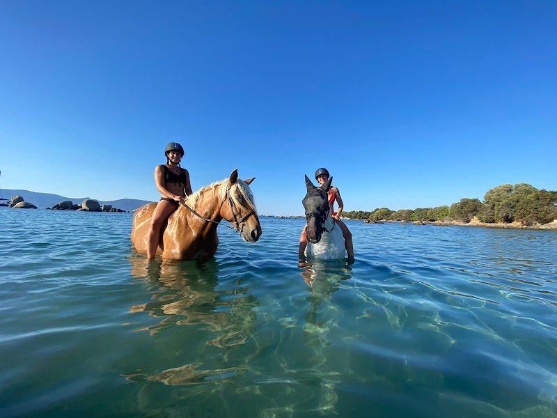 Écuries le Golfe - Scuderie U Golfu - photo 2