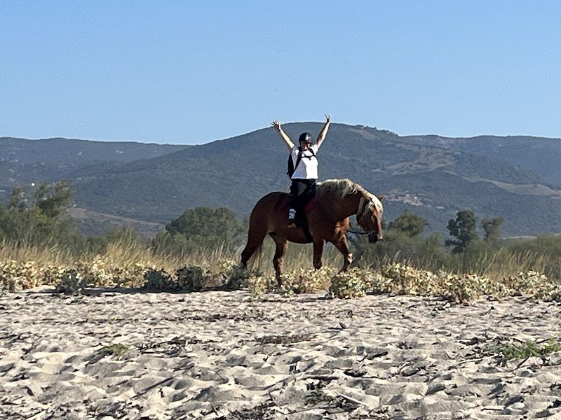 Écuries le Golfe - Scuderie U Golfu - photo 3