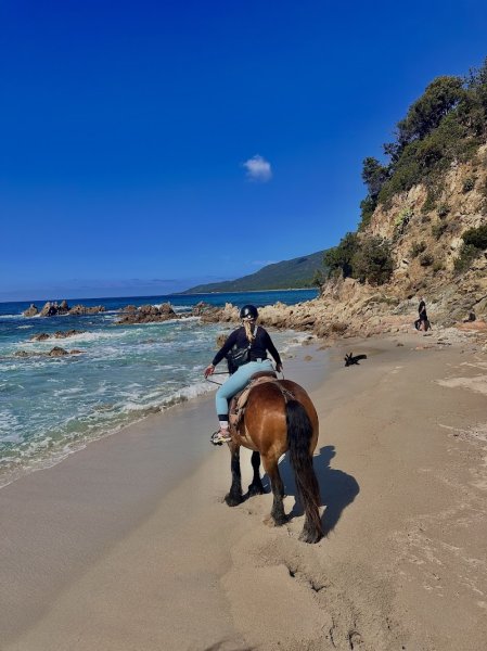 Fior di Lezza Cupabia baignade à cheval - photo 2