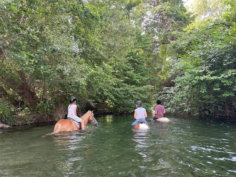 Les Écuries de San Giuliano - photo 2