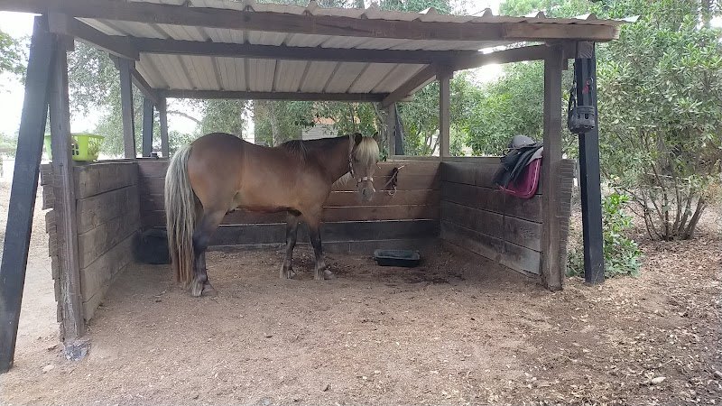 Les Cavaliers des Ecuries de l'Oso - photo 1