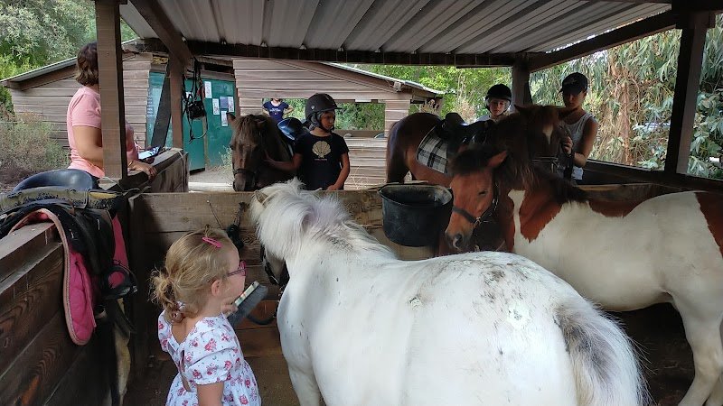 Les Cavaliers des Ecuries de l'Oso - photo 2