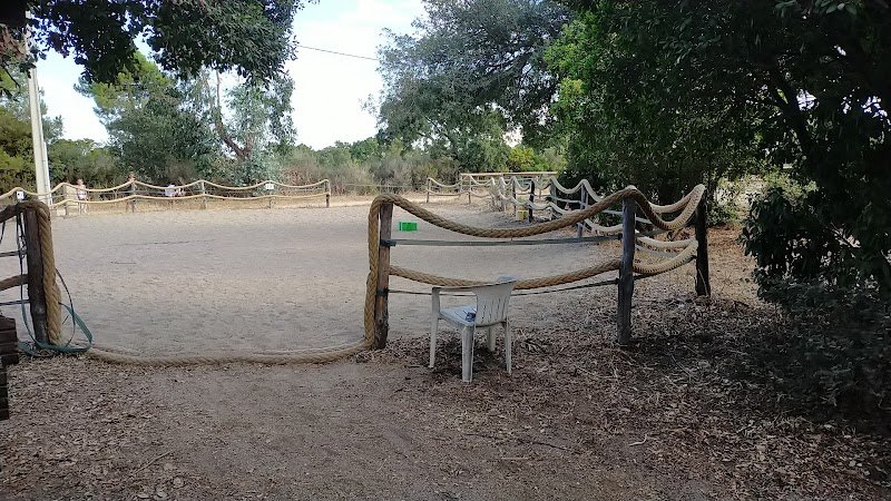 Les Cavaliers des Ecuries de l'Oso - photo 3