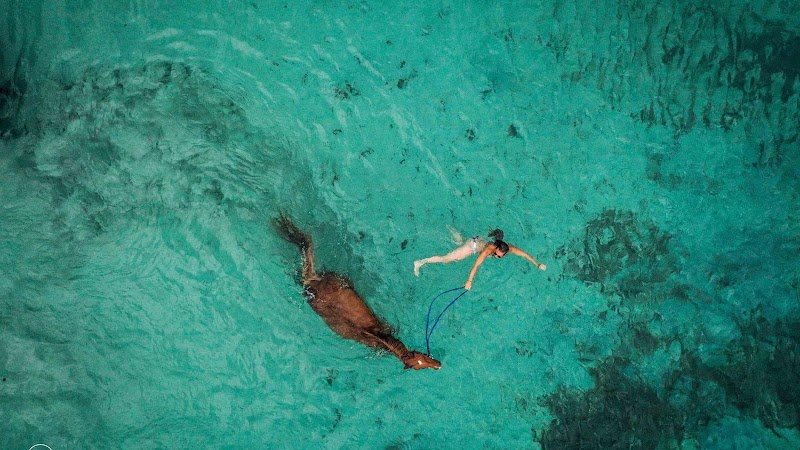 Ranch corse CLG sagone ferme équestre - photo 1