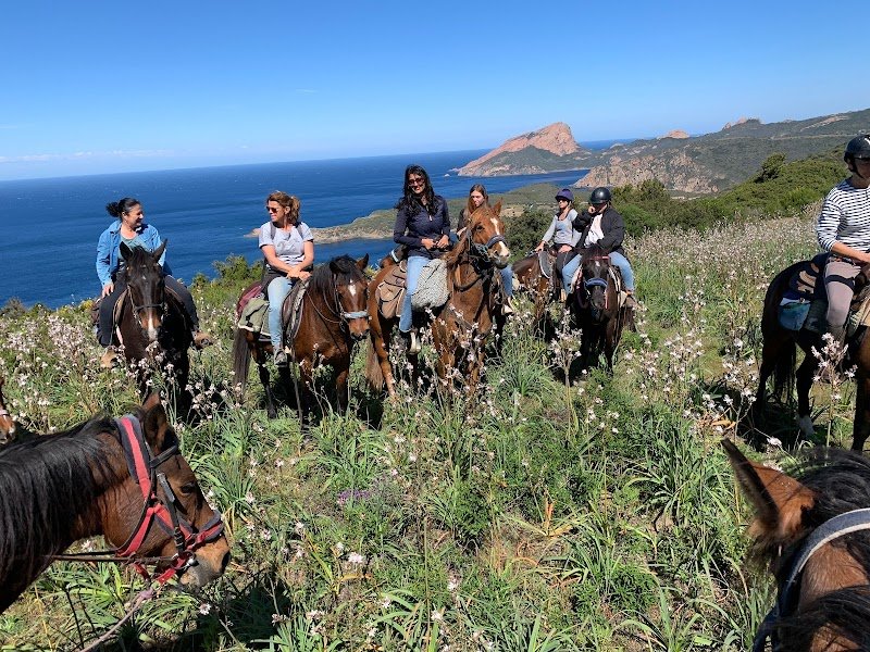 Ranch corse CLG sagone ferme équestre - photo 2