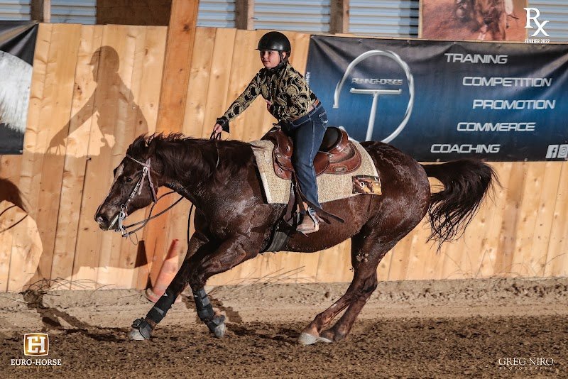 Ranch corse CLG sagone ferme équestre - photo 3