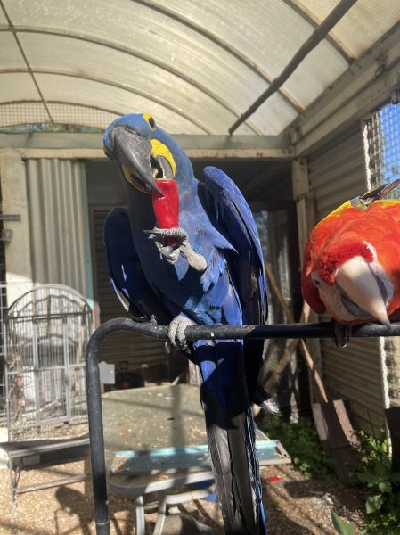 Haras de Rasignani - photo 1