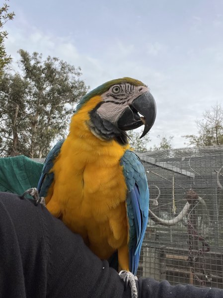 Haras de Rasignani - photo 2