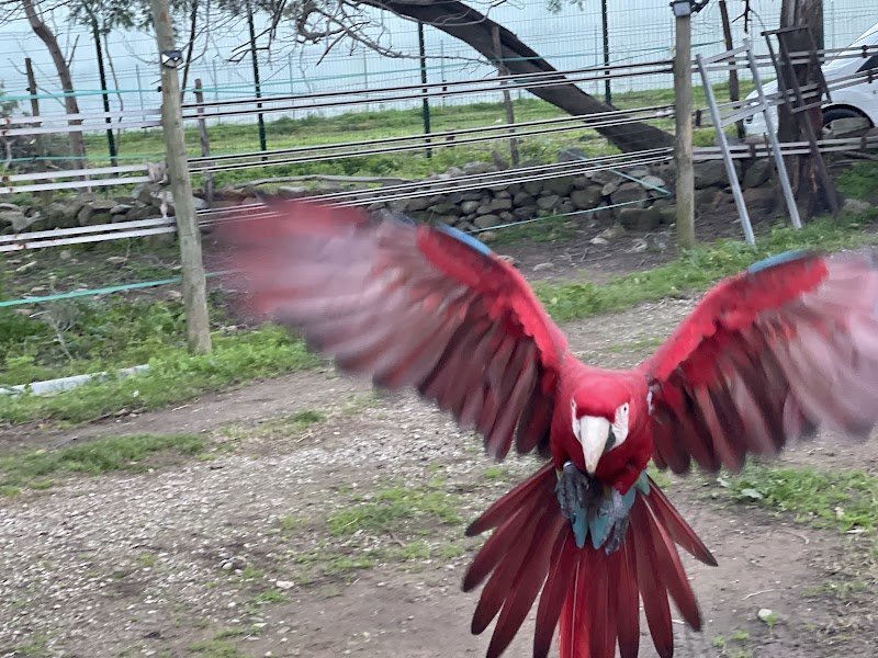 Haras de Rasignani - photo 3