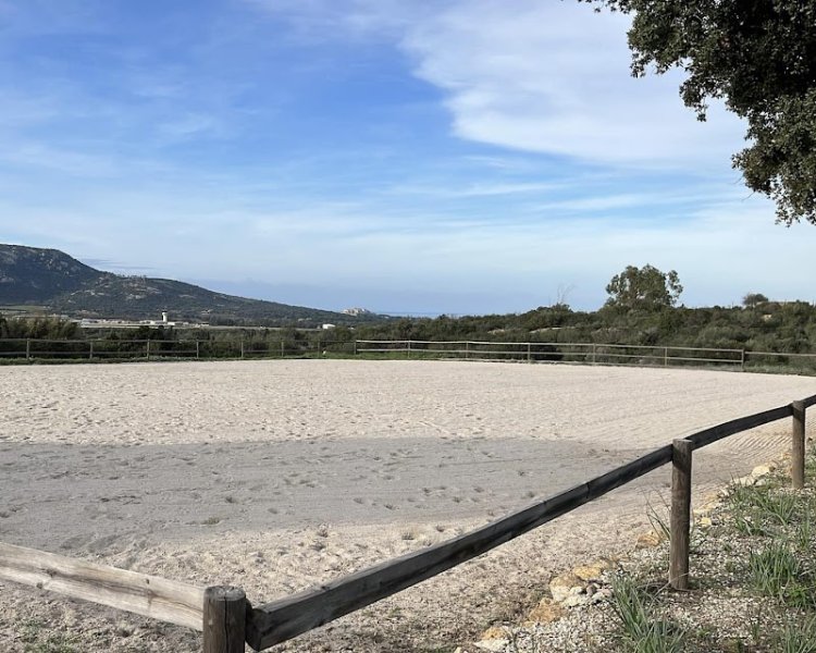 Écurie Luna d'a Farfalla