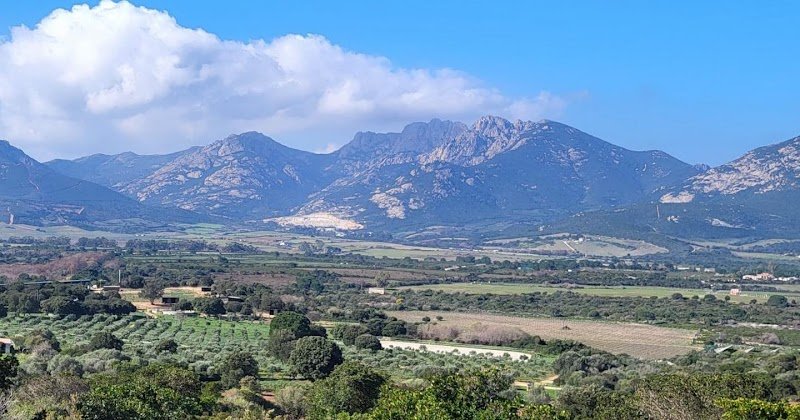 Écurie Luna d'a Farfalla - photo 2